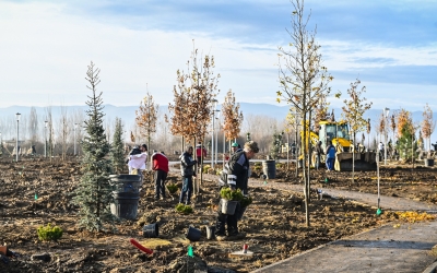 600 de arbori și peste 2000 de arbuști sunt plantați în cel mai nou parc al Sibiului.  Hidroînsămânțarea cu gazon, în premieră