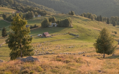 Turismul rural în Mărginimea Sibiului, o alternativă tot mai atractivă pentru turiștii dornici de pitoresc și autenticitate