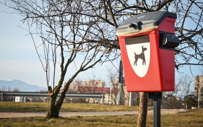 Primăria Sibiu: am mai montat 40 de coșuri pentru dejecțiile câinilor. ”De ce este important să le strângeți?”