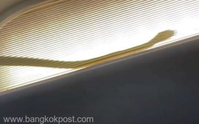 VIDEO Un avion de călători Air Asia nevoit să devieze de la traseu după descoperirea unui şarpe la bord