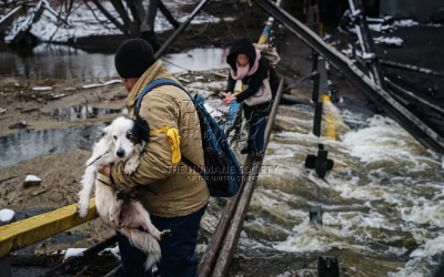 Crucea Roșie și Humane Society International trimit hrană pentru animalele din Ucraina