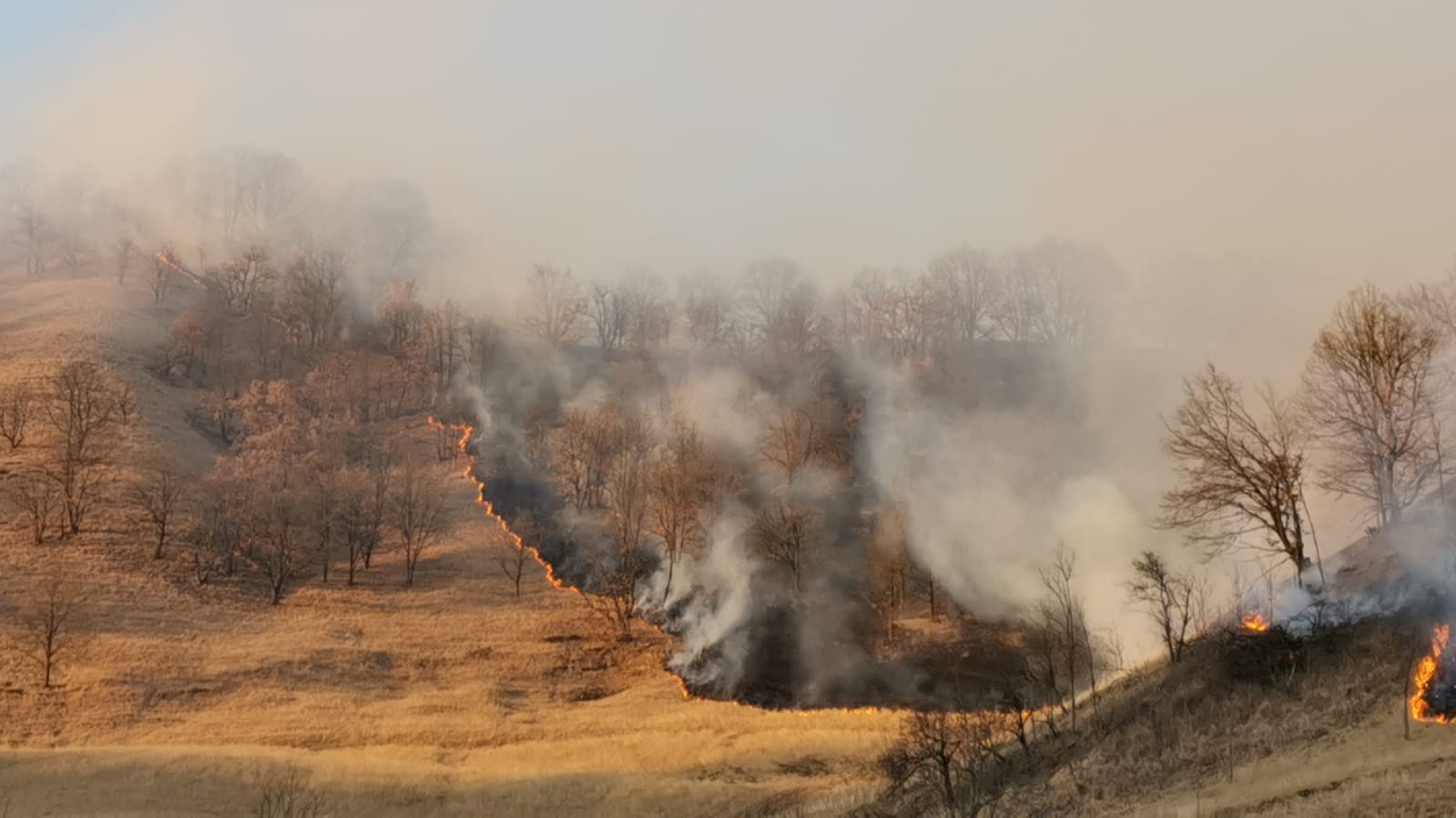 FOTO 20 incendii de vegetație în județ, doar astăzi. Pe lângă miriște au ars un saivan și o cabană