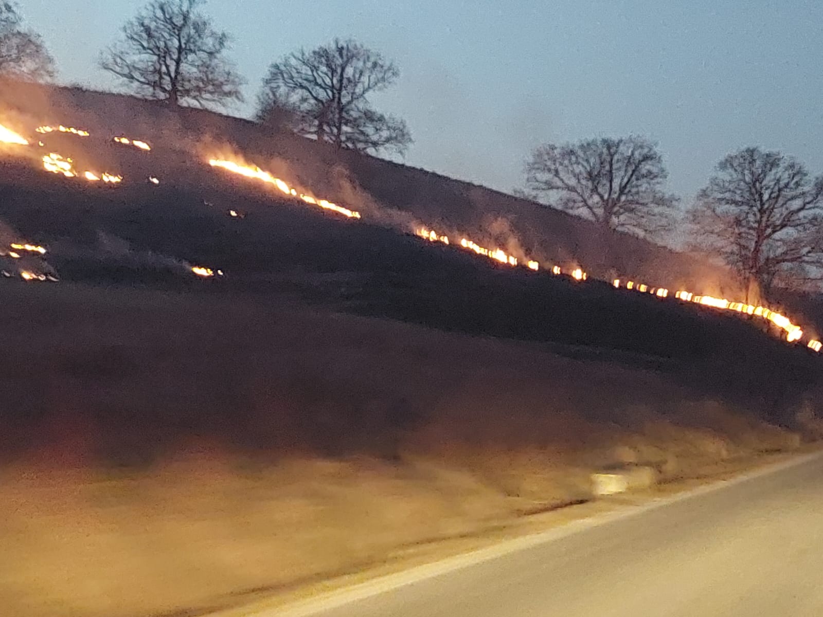 Peste 100 de incendii de vegetație în șapte zile, în județul Sibiu. ISU: Respectați interdicțiile