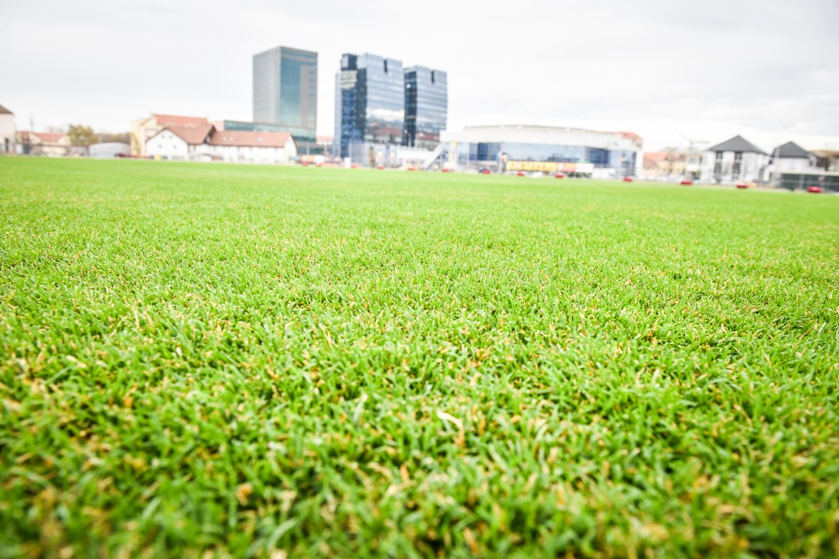 Pe stadionul din Sibiu, iarba va crește și noaptea: instalații pentru stimularea artificială a fotosintezei