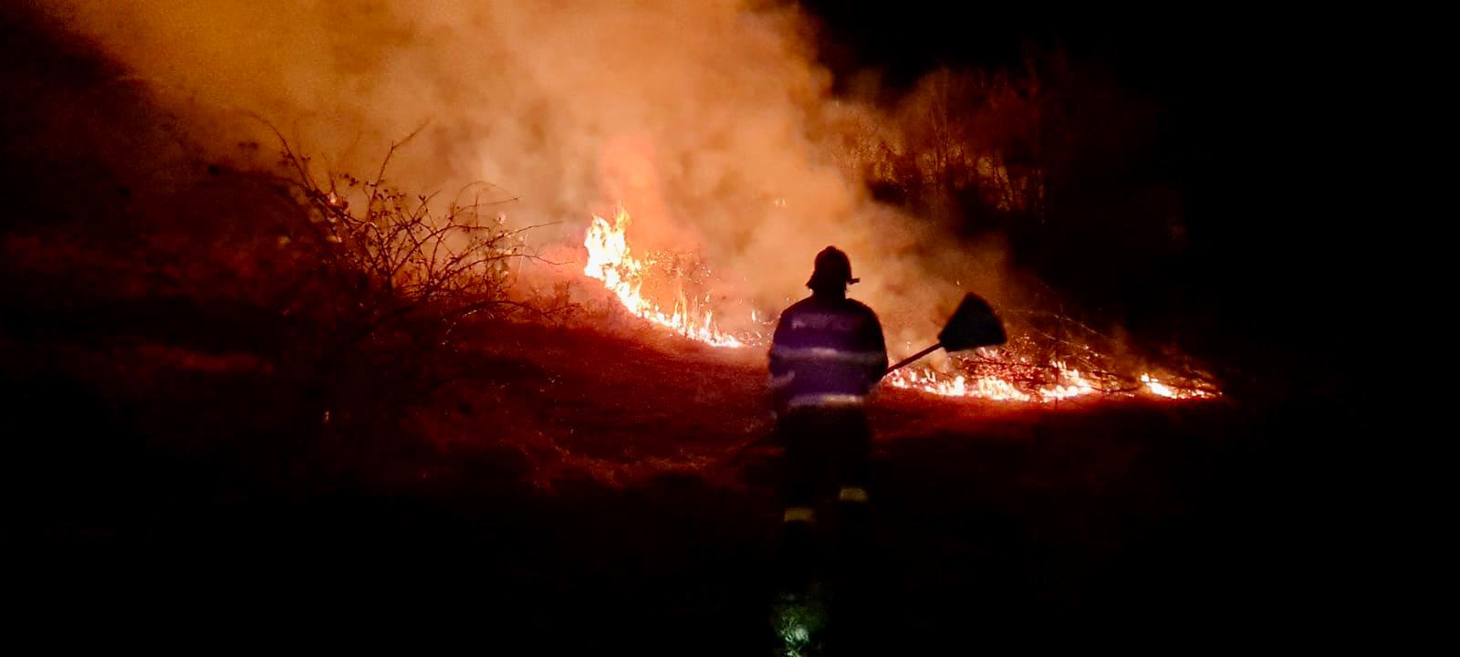 Șapte păsări și două tone de cereale au ars azi-noapte într-un incendiu în Șeica Mare