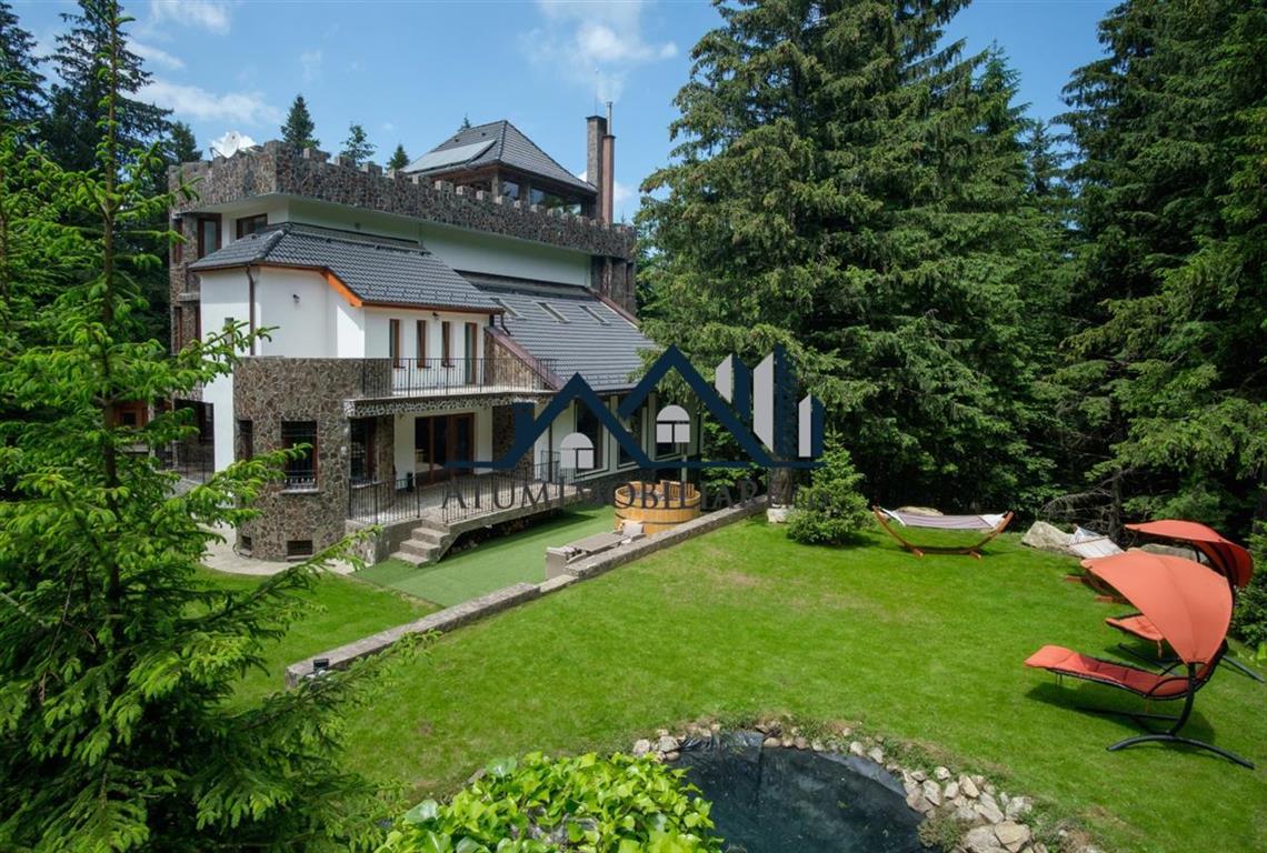 Pentru o vilă, trei pensiuni și un boutique hotel, localizate în zona Păltinișului, se cer în total aproape cinci milioane de euro