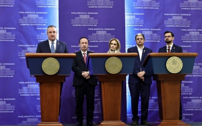 Firea despre programul de fertilizare in vitro: Sunt convinsă că în 2-3 luni putem realiza primele decontări