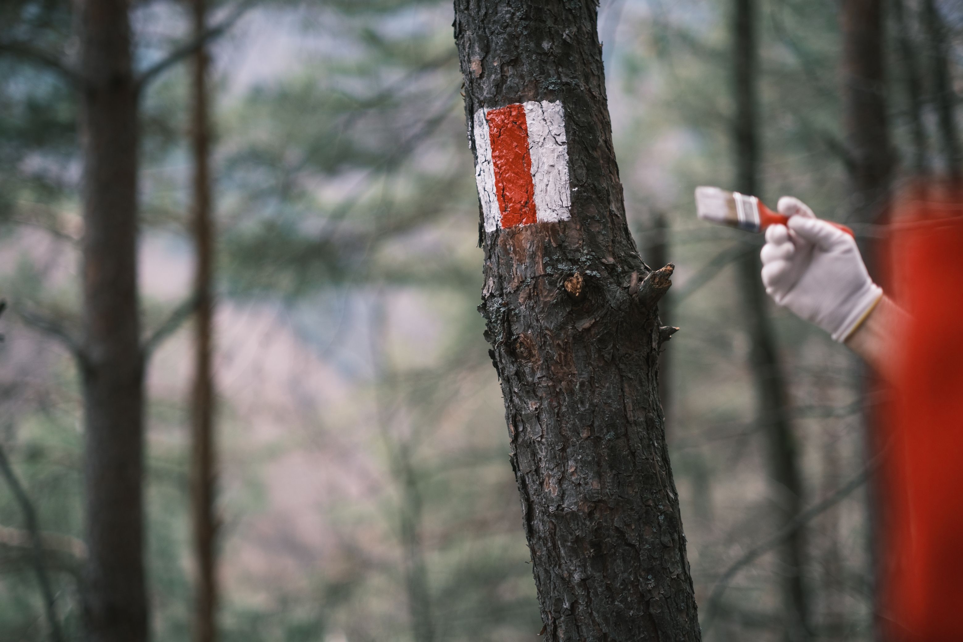 Peste 400 de kilometri de trasee de drumeție vor fi amenajați în acest an prin programul „Anii Drumeției”