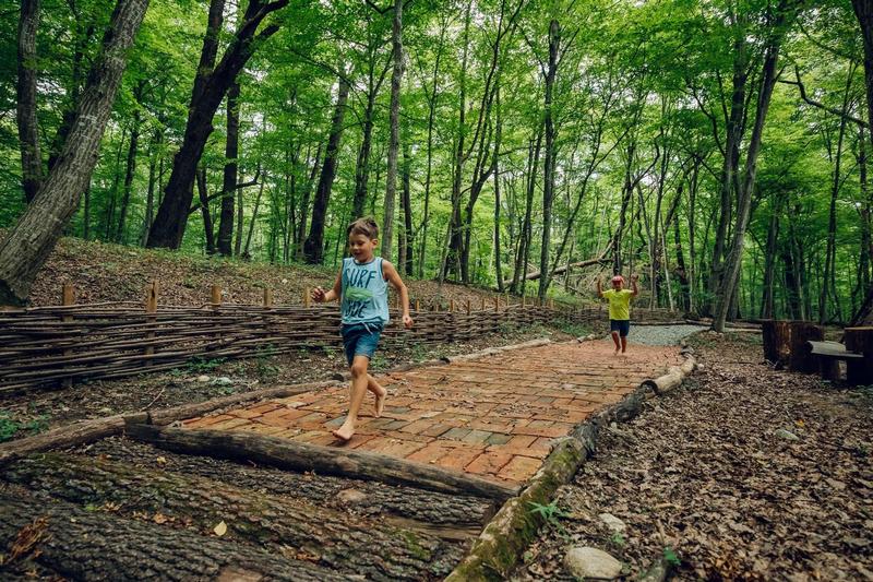 Proiectele Maratonului: Ateliere gratuite în Muzeul ASTRA pentru comunitatea sibiană