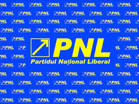 Consiliul Naţional al PNL se va reuni pe 27 mai. Urmează să fie ales noul Birou Executiv
