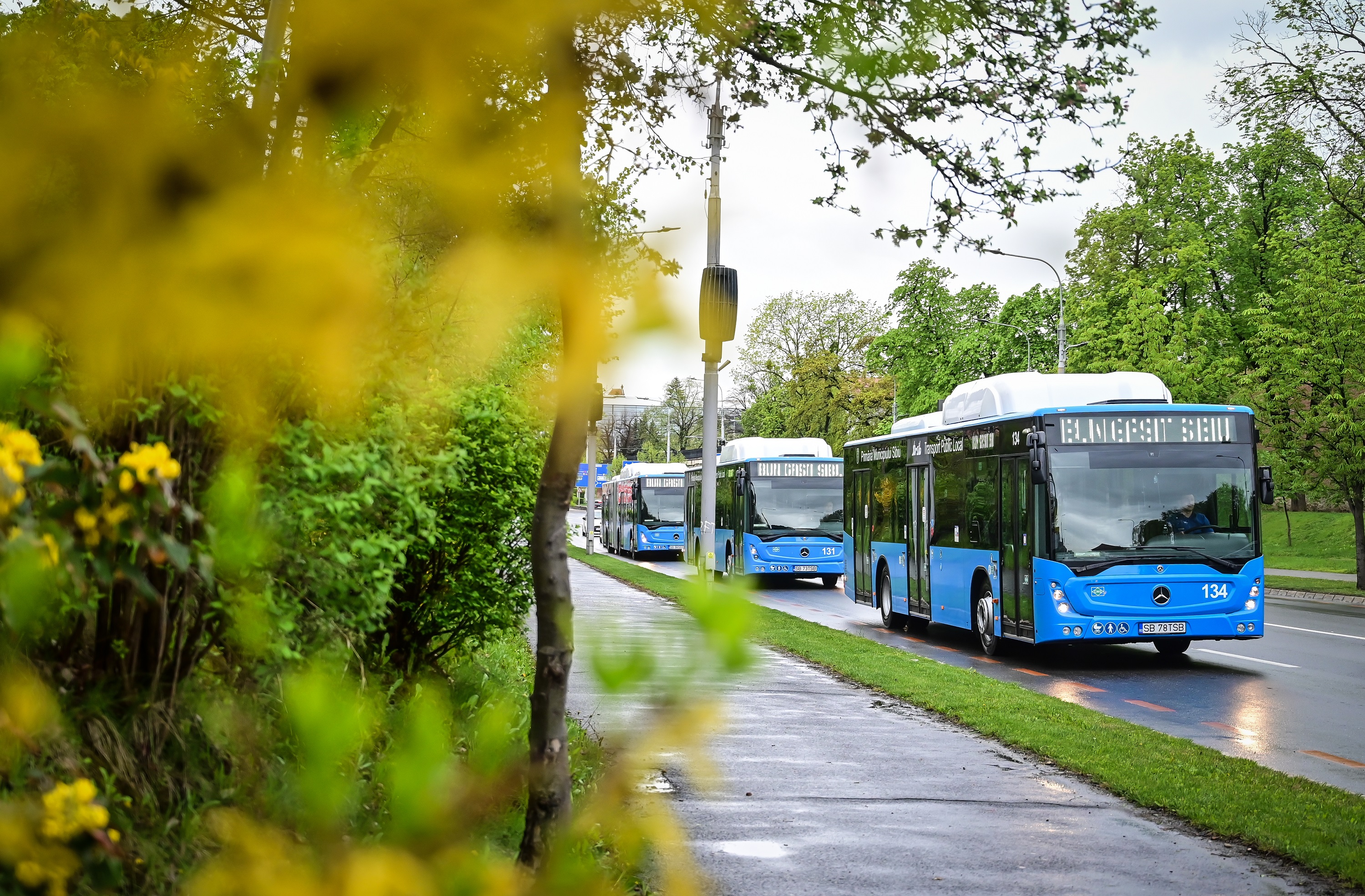 FOTO VIDEO Cele 40 de autobuze ecologice Mercedes intră în circulație în Sibiu, de duminică. Care sunt traseele și despre noul sistem de ticketing