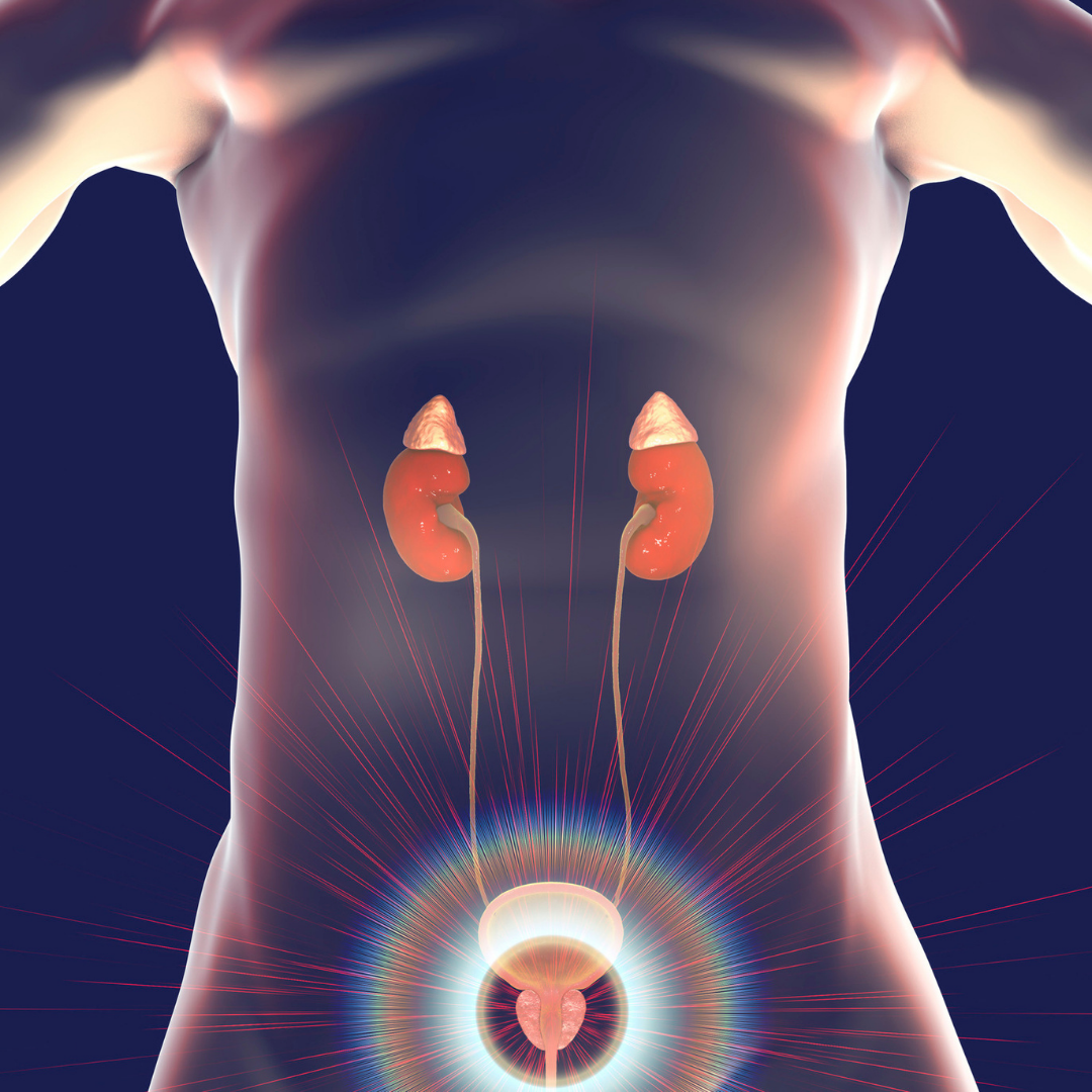 Glandele suprarenale și rolul lor în organism