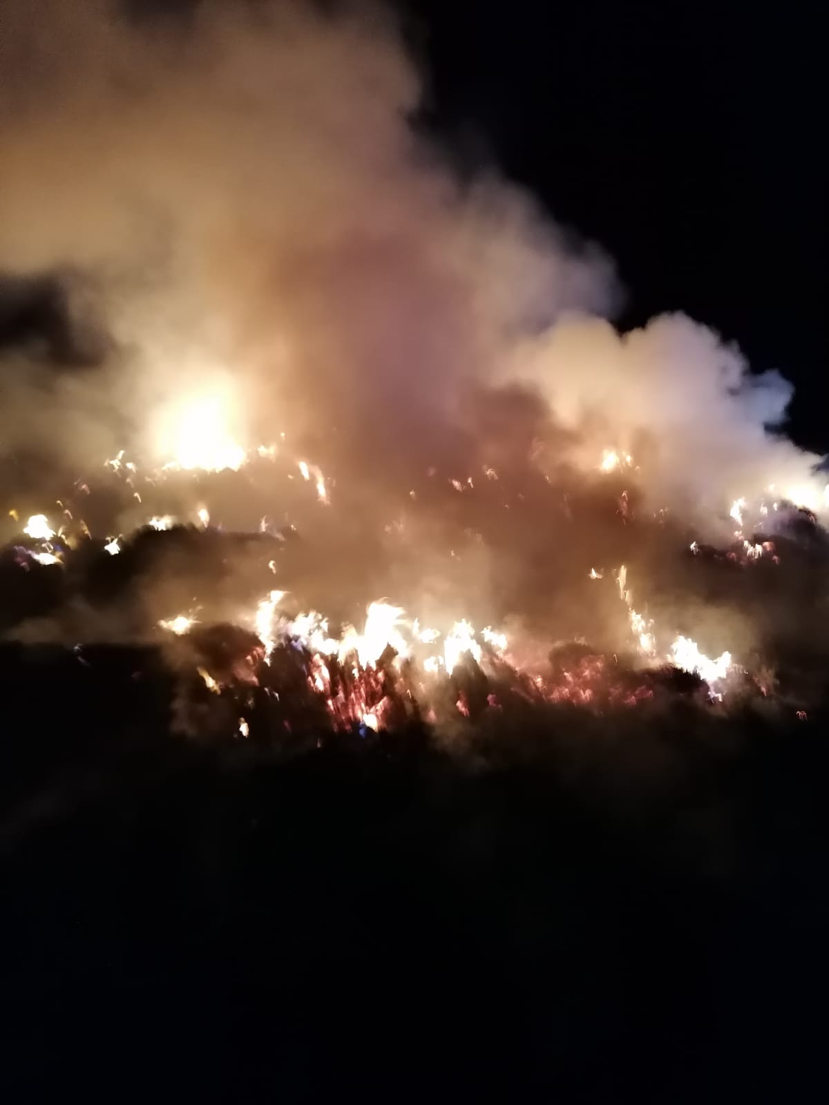 Pompierii sibieni au ajutat la stingerea unui incendiu la un saivan din Alba