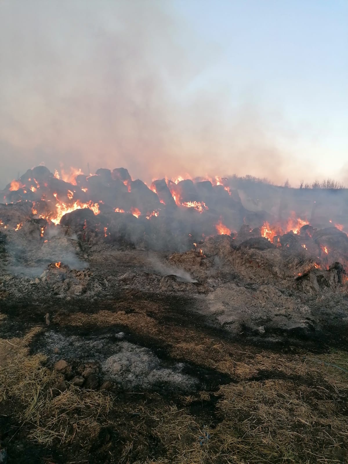 incendiu fân alba dimineața
