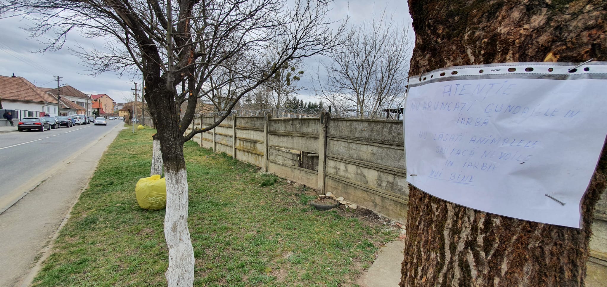 5 exemple din Sibiu: Lipsă de bun simț și respect