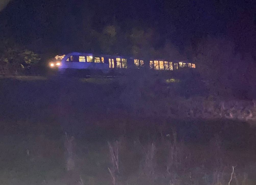 Un tren a avut întârziere de peste două ore, după ce un cal a fost blocat între șinele de tren, la Turnu Roșu