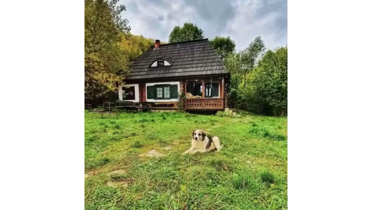 FOTO Cabană făcută după modelul unei case tradiționale din Muzeul Astra, scoasă la vânzare. Preț: 73 de mii de euro