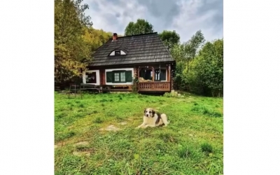 FOTO Cabană făcută după modelul unei case tradiționale din Muzeul Astra, scoasă la vânzare. Preț: 73 de mii de euro