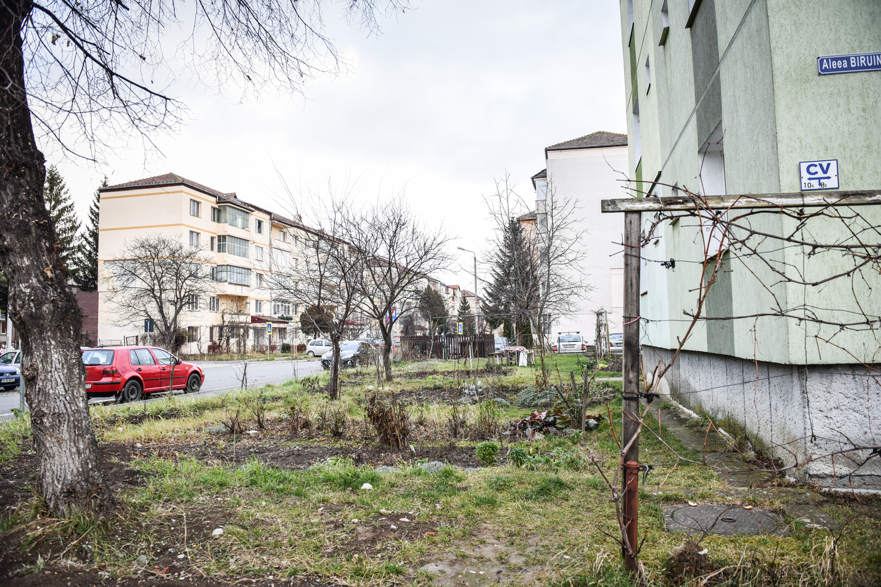 Ce NU mai au voie sibienii să facă în spațiul verde de lângă bloc, fără acordul primăriei
