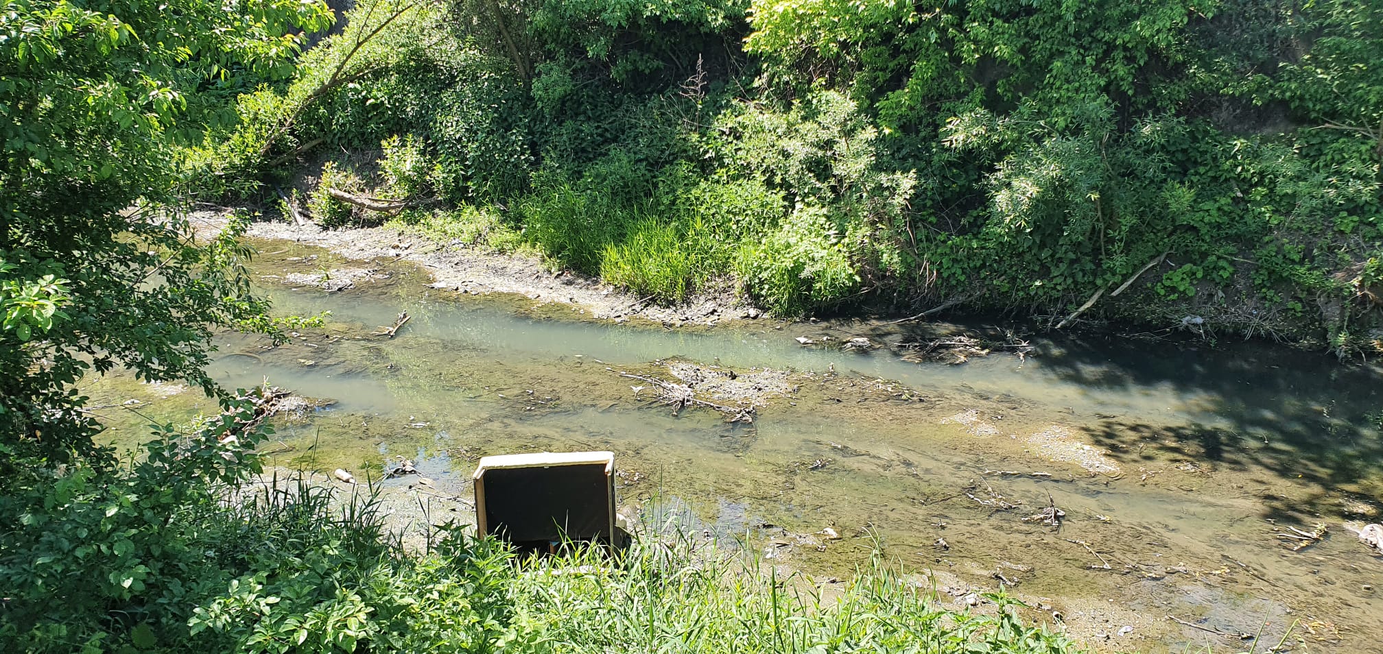 FOTO-Provocare: Cine strânge mai multe gunoaie de pe cel mai poluat curs de apă din Sibiu?