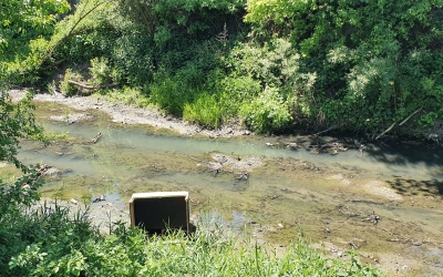 FOTO-Provocare: Cine strânge mai multe gunoaie de pe cel mai poluat curs de apă din Sibiu?