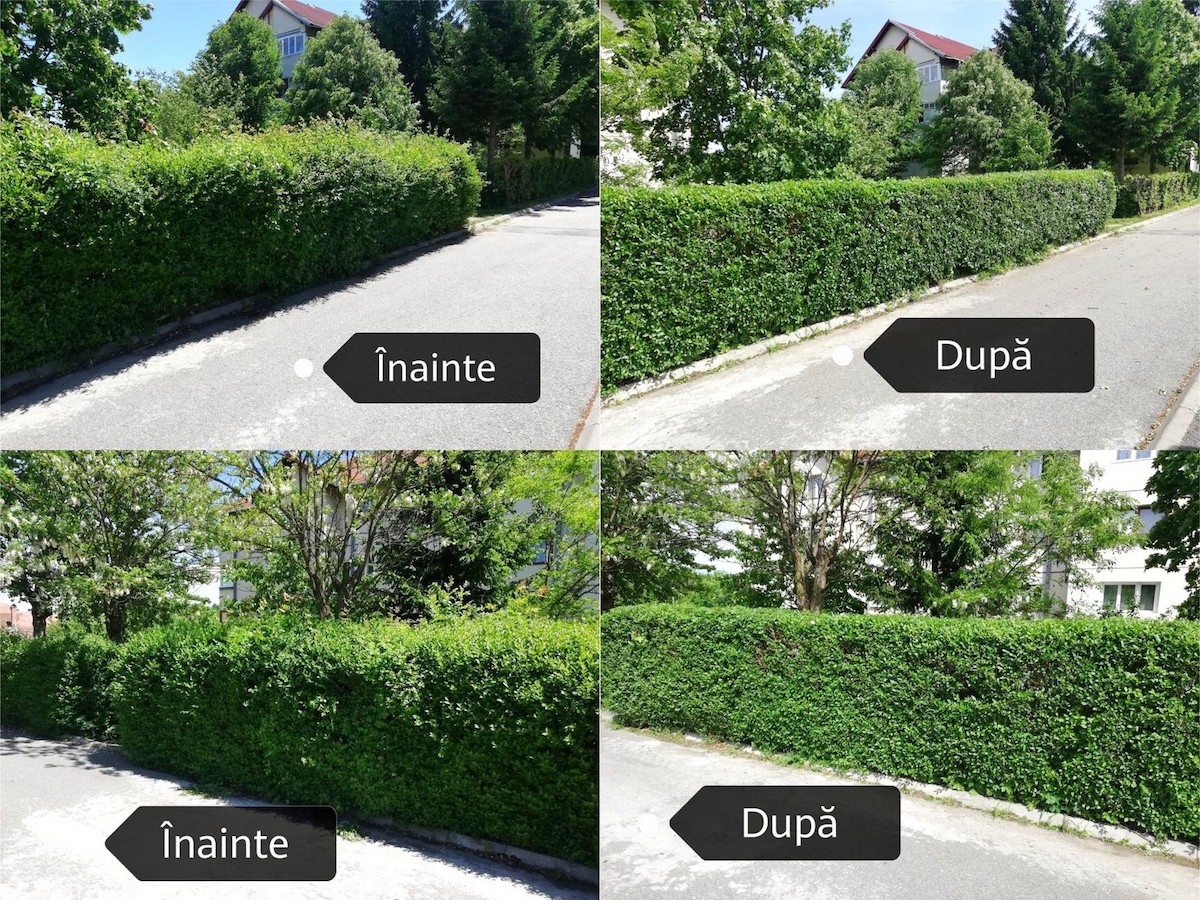 Sibienii au primit gratis peste 200 de echipamente și unelte pentru îngrijirea spațiilor verzi. „Nu le-a venit să creadă”