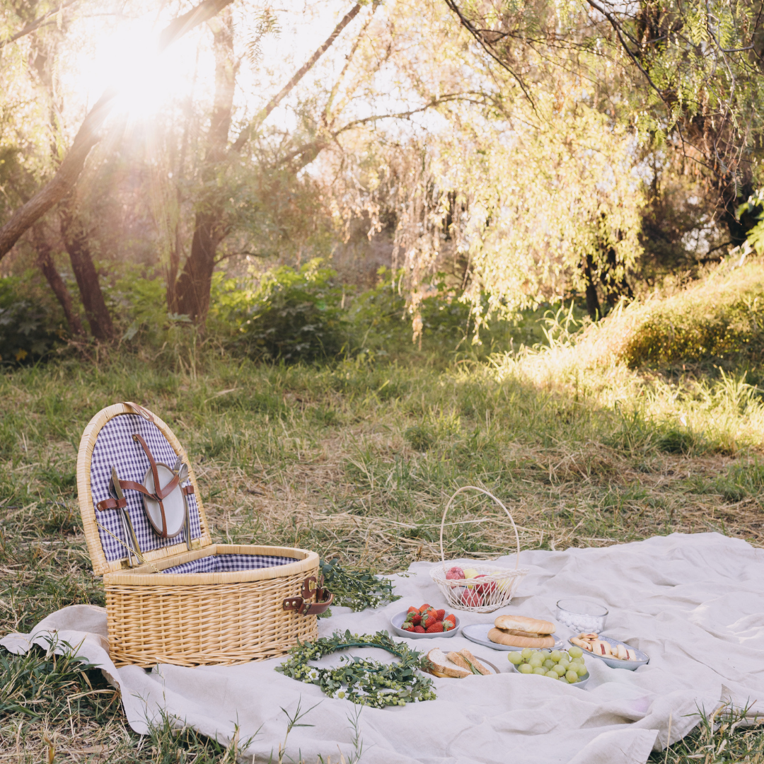 Află cum poți avea un picnic reușit