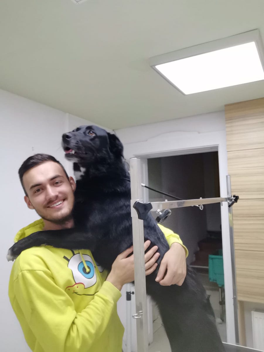 câine salon gabriel șoaită