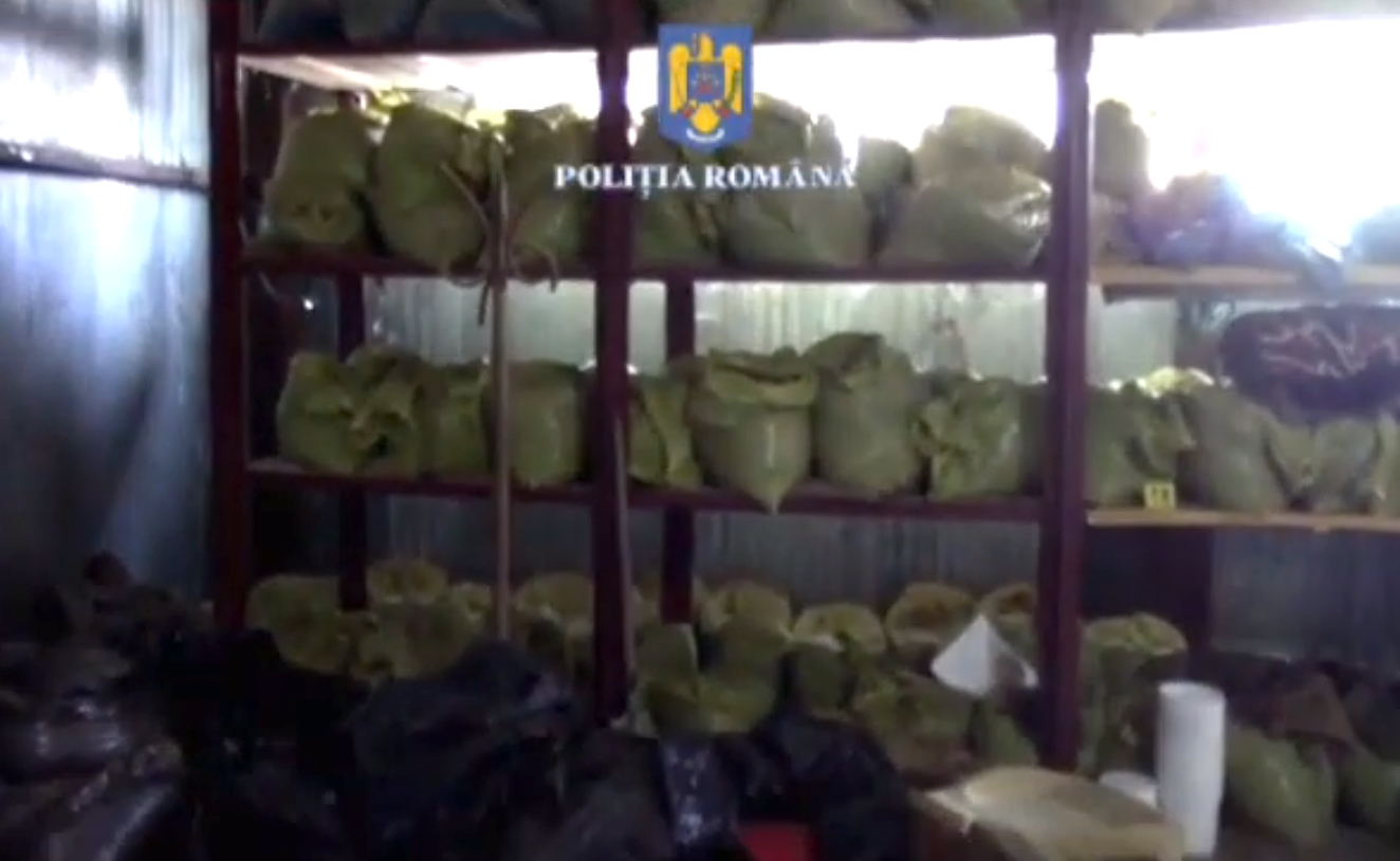 VIDEO Percheziţii și la Sibiu într-un dosar de producere ilegală de tutun