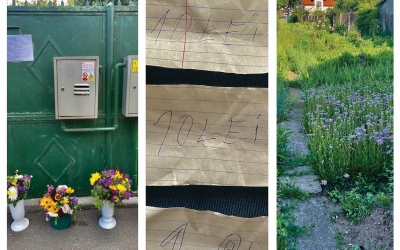 Sara, florăreasa întoarsă din Germania, furată pentru prima oară. Timp de 5 ani nu i-a dispărut niciun buchet de flori, deși nu erau păzite