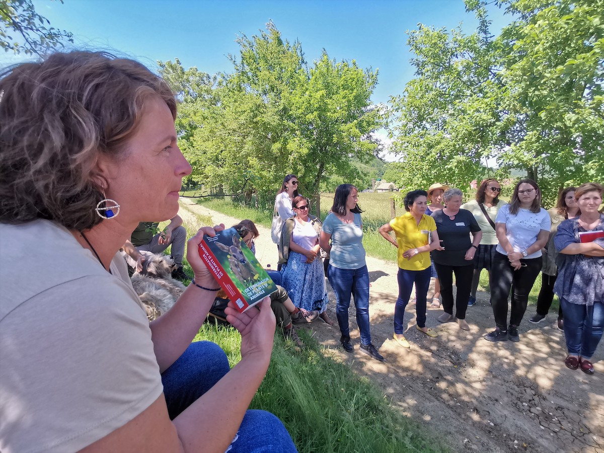 Atelier de explorare responsabilă a naturii, pentru cadrele didactice şi ghizii de turism din Sibiu