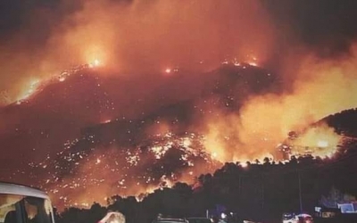 Peste 100 de incendii de vegetaţie în Grecia, în 24 de ore