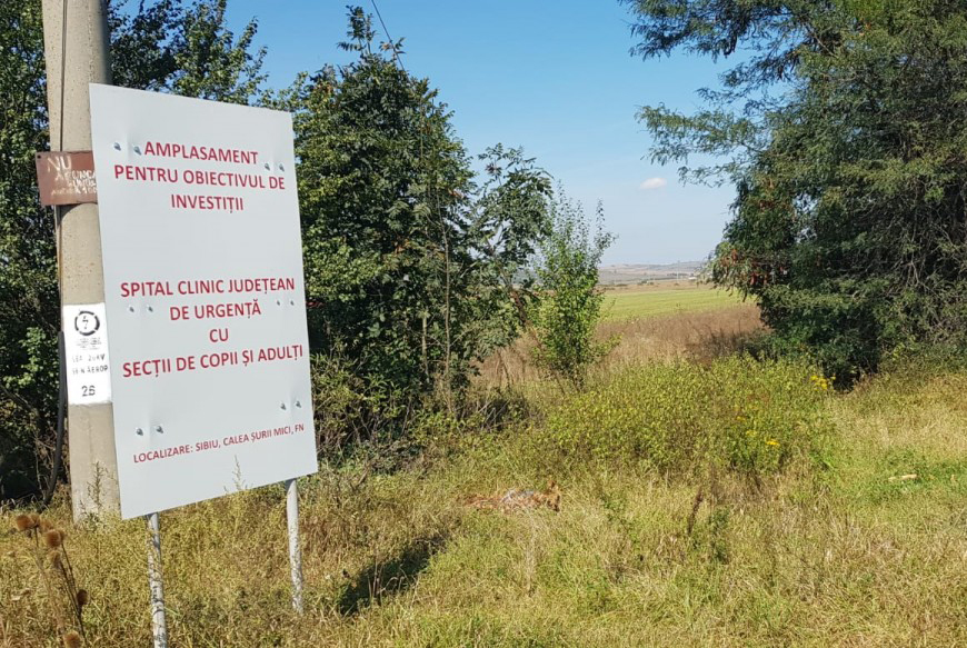 Ce relevanță are pentru noi frecușul politic, doamnelor Cîmpean și Turcan?