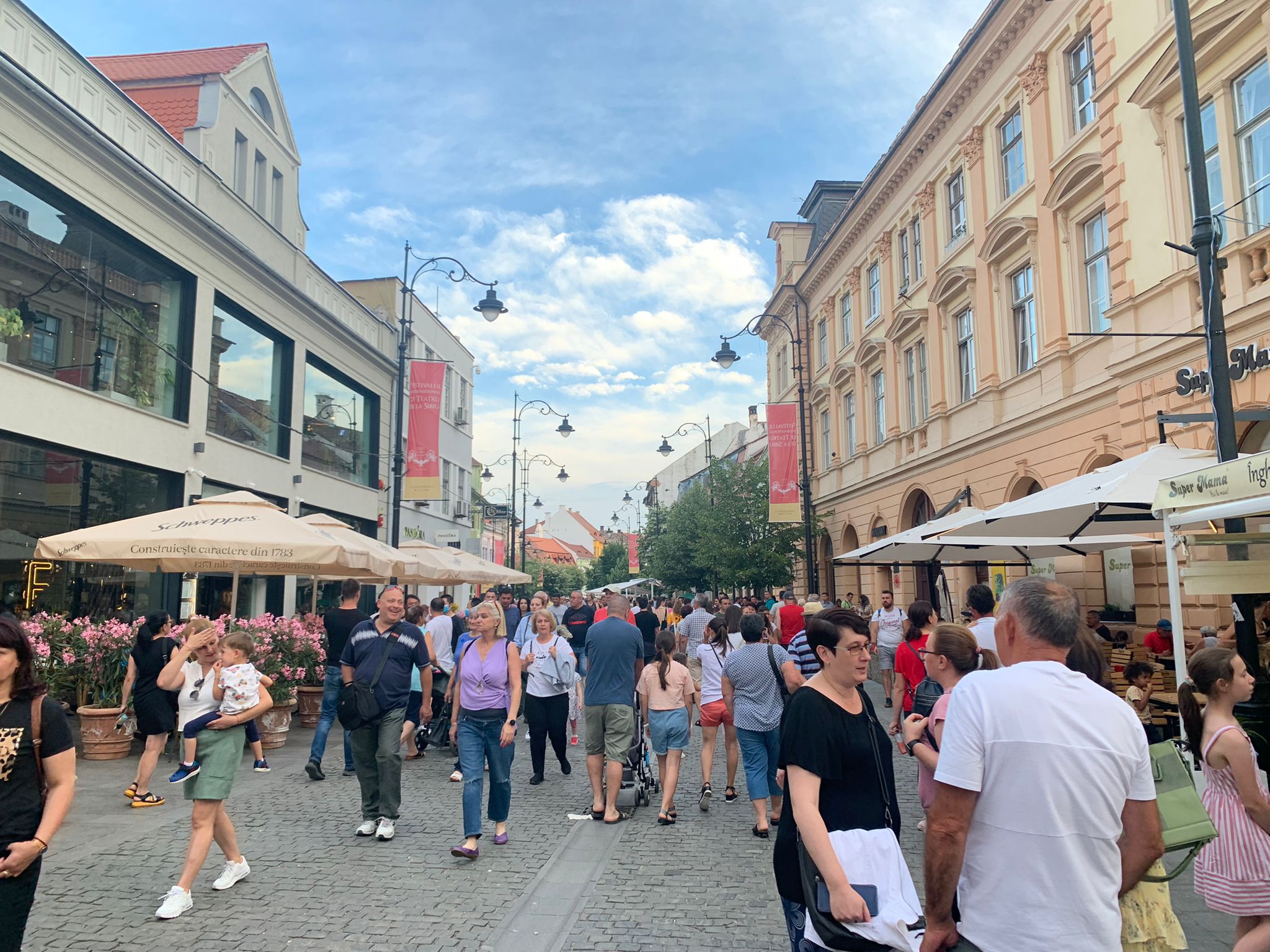 Încă trei centre de recenzare deschise în Sibiu. Recensământul se încheie în 24 iulie