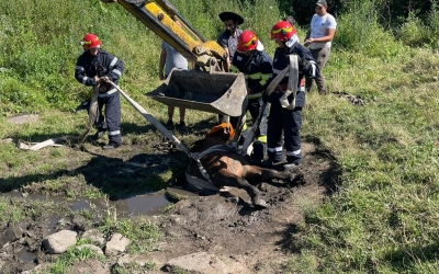 Cal căzut într-o fântănă, salvat de pompierii sibieni. „Se zbătea cu ultimele puteri pentru a se elibera”