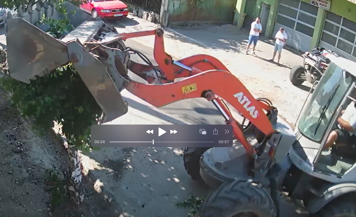 VIDEO Cazul copacilor tăiați de pe Anton Pann. Primăria: Constructorul urmează să fie amendat. Constructorul: Erau înclinați, riscau să cadă