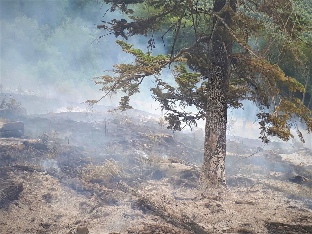 73 de incendii de pădure în Sibiu. Locul 2 la nivel național