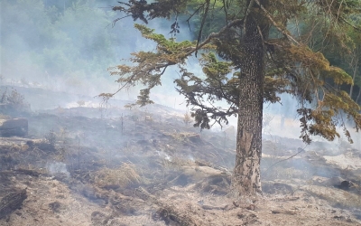 73 de incendii de pădure în Sibiu. Locul 2 la nivel național