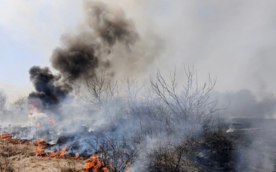 Incendiile de vegetație în Sibiu se înmulțesc. Arderile necontrolate se pedepsesc cu amendă până la 2.500 lei
