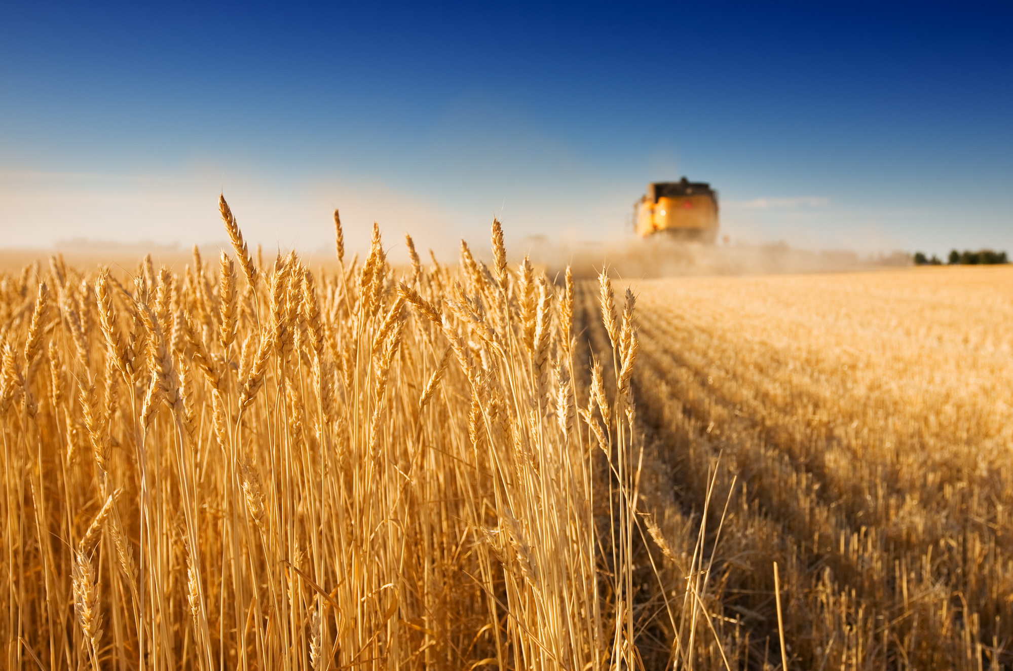 Ucraina şi Rusia semnează cu Turcia şi ONU acorduri separate privind exportul de cereale ucrainene