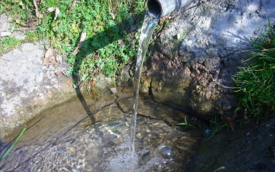 DSP către sibienii care merg să-și ia ”apă de izvor”: Înregistrăm un procent ridicat de neconformitate la probele de apă