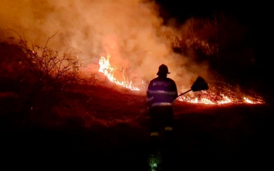 Numărul incendiilor de vegetație în Sibiu a crescut de aproape patru ori față de anul trecut