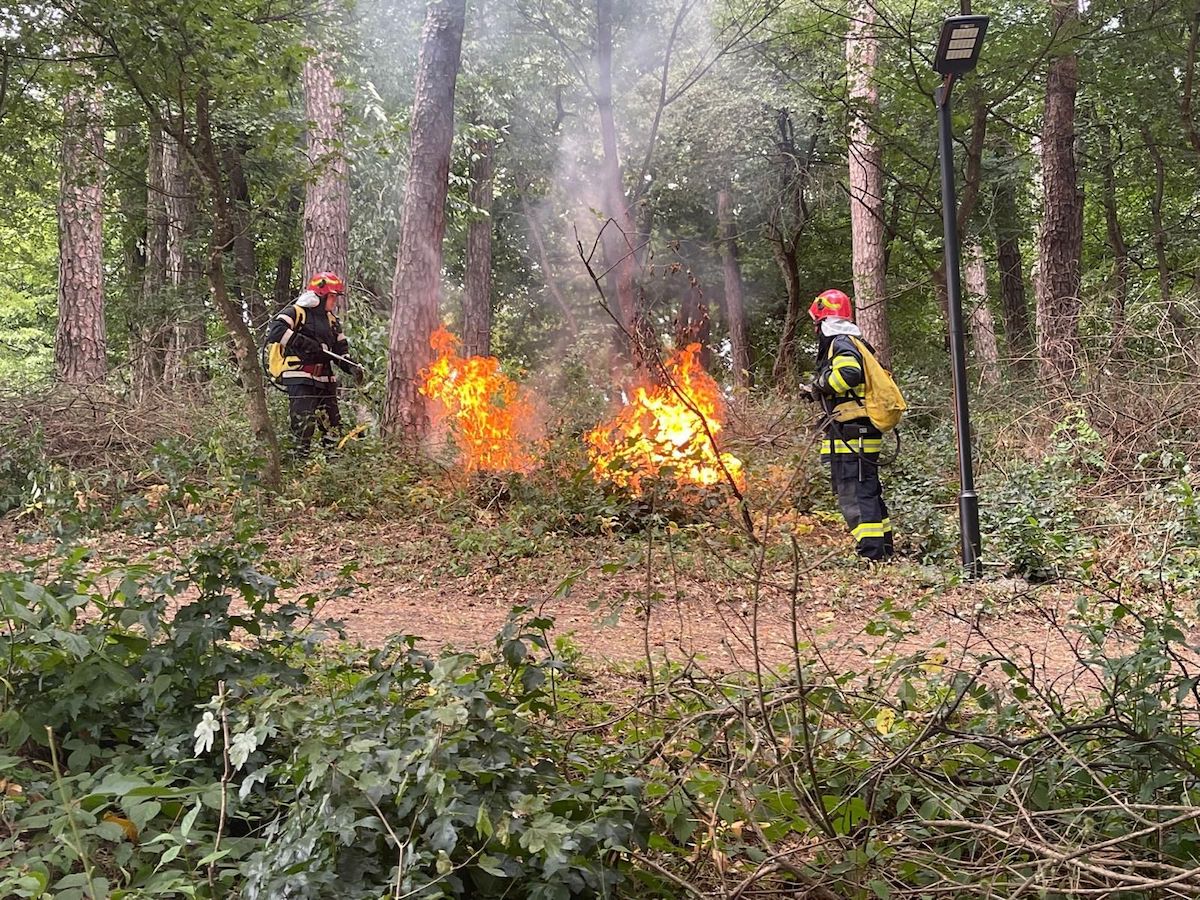 50.000 de metri pătrați de vegetație au ars în ultimele 24 de ore, în județul Sibiu