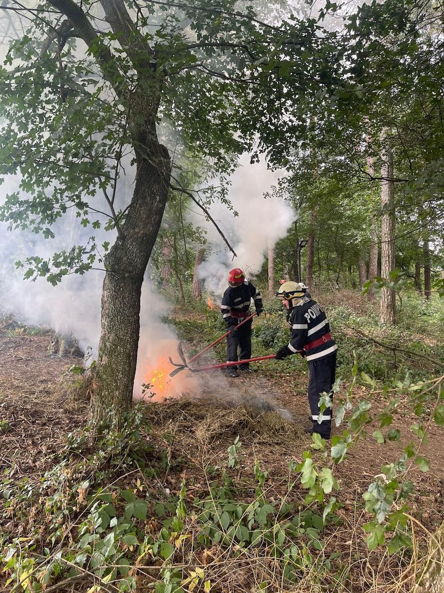 pompieri foc pădure