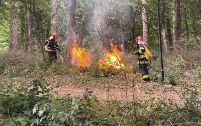 50.000 de metri pătrați de vegetație au ars în ultimele 24 de ore, în județul Sibiu