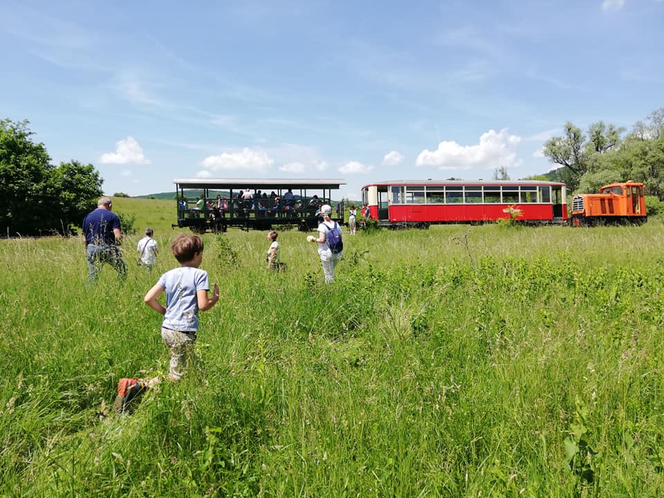Mocănița de pe Valea Hârtibaciului și-a schimbat programul din cauza caniculei