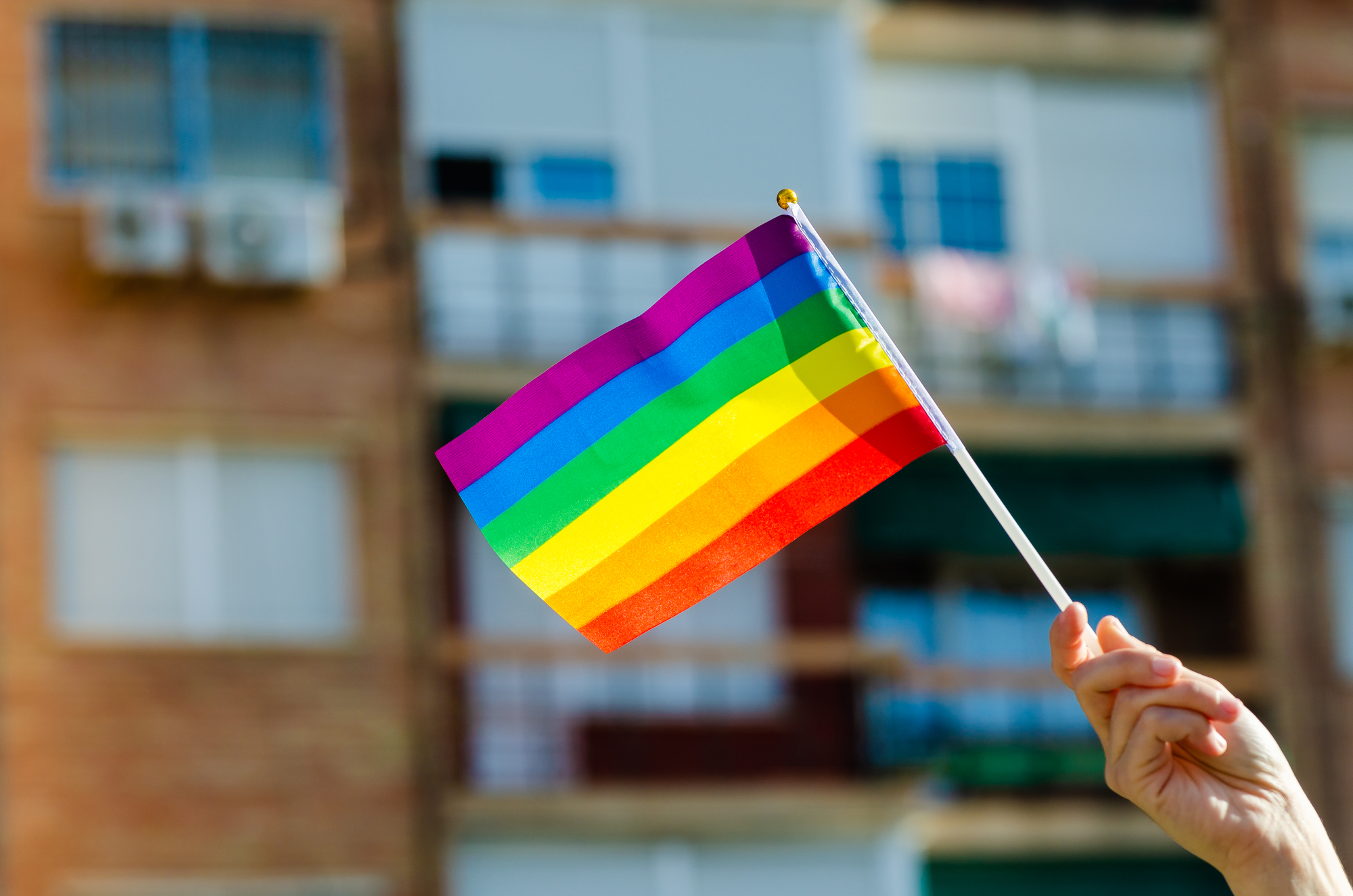 Slovenia a legalizat căsătoriile între persoane de acelaşi sex și le dă dreptul de a adopta copii