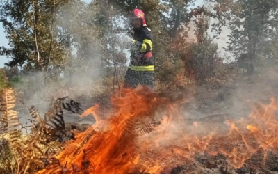 Pompierii români continuă misiunea de stingere a incendiului din sudul Franței