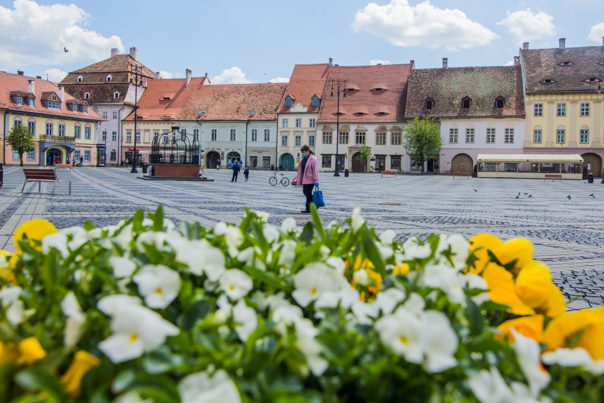 Scad cazurile de COVID-19 în Sibiu. 14 adulți și doi copii internați la ATI