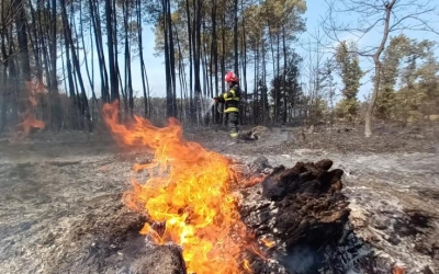 IGSU anunţă încheierea misiunii pompierilor români în Franţa